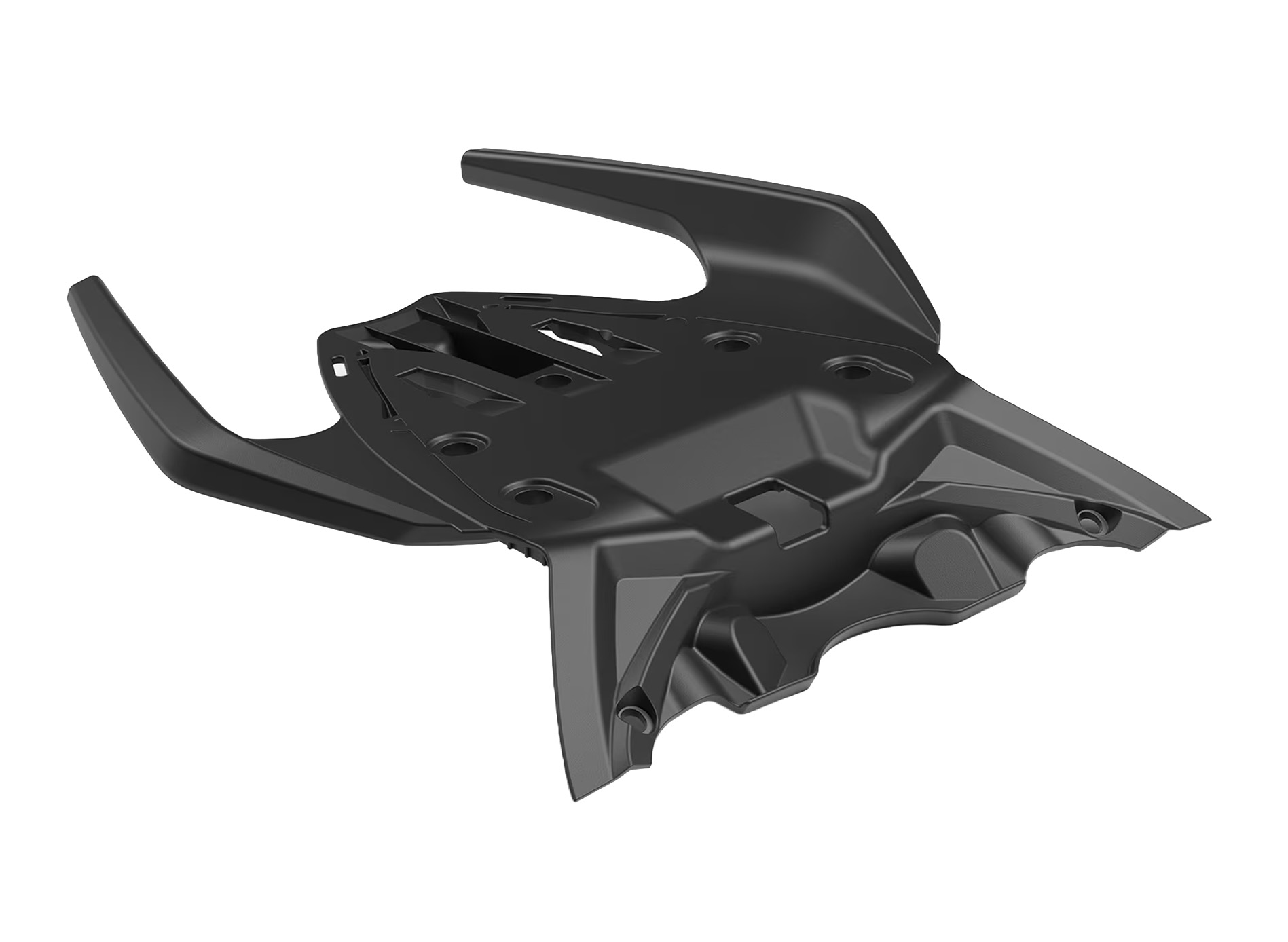Passenger grab handle for Aprilia RS 457 (24-)